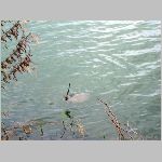 Kozlov 2.4.2008. -21.JPG